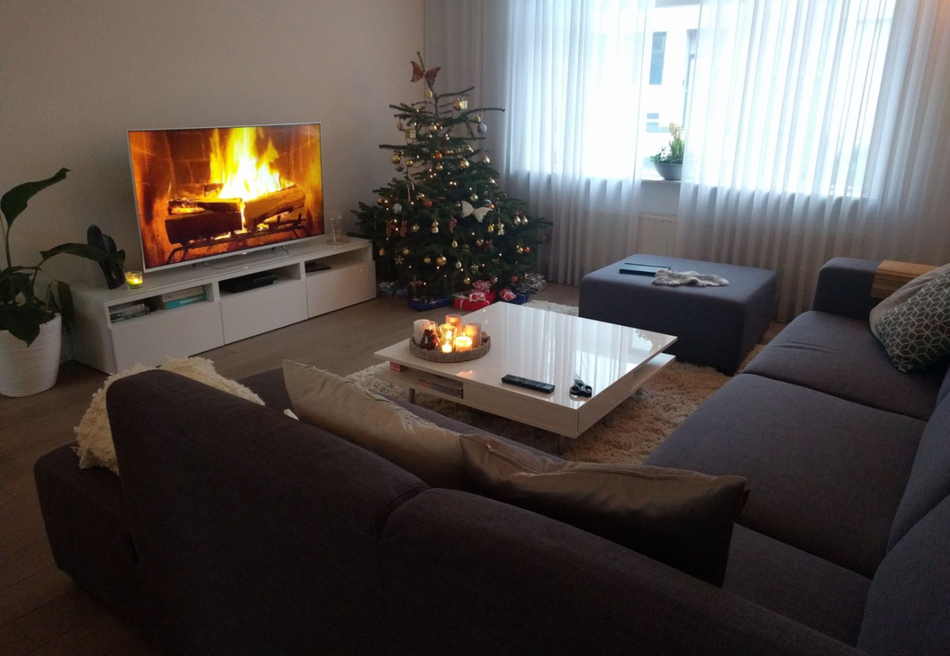 Samen een huis delen in Roosendaal