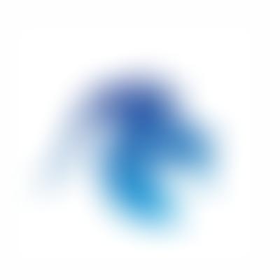 Kees-2