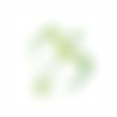 Sonny 