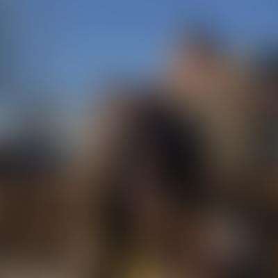 Fayeskanie Zimmerman