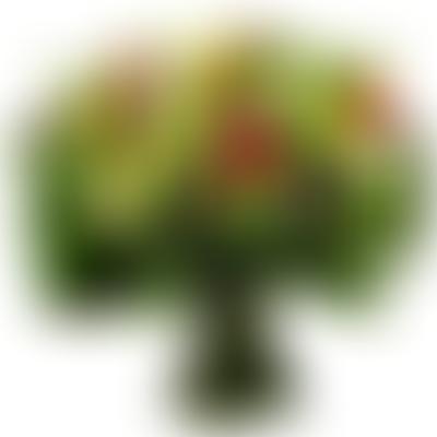 Elisa