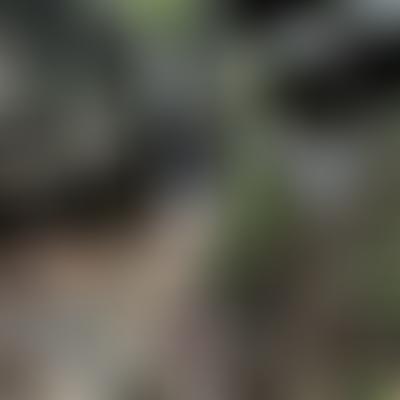 Lars