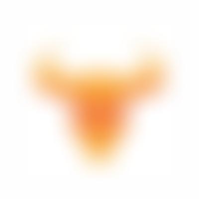Gina