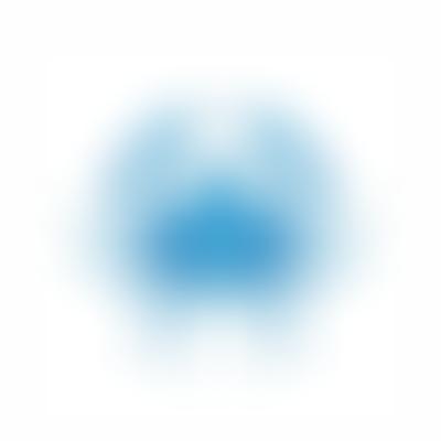 IngeM