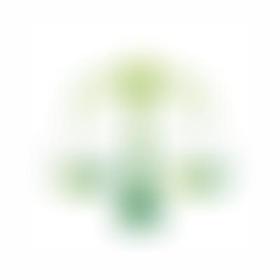 Levian