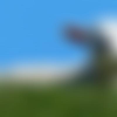 Zammie