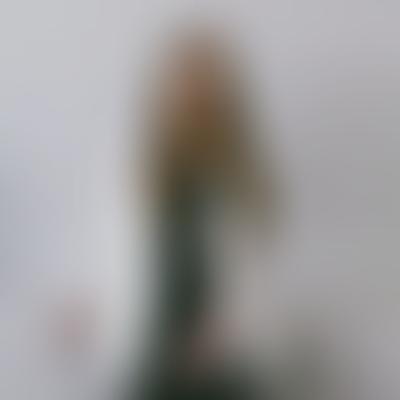 Ari