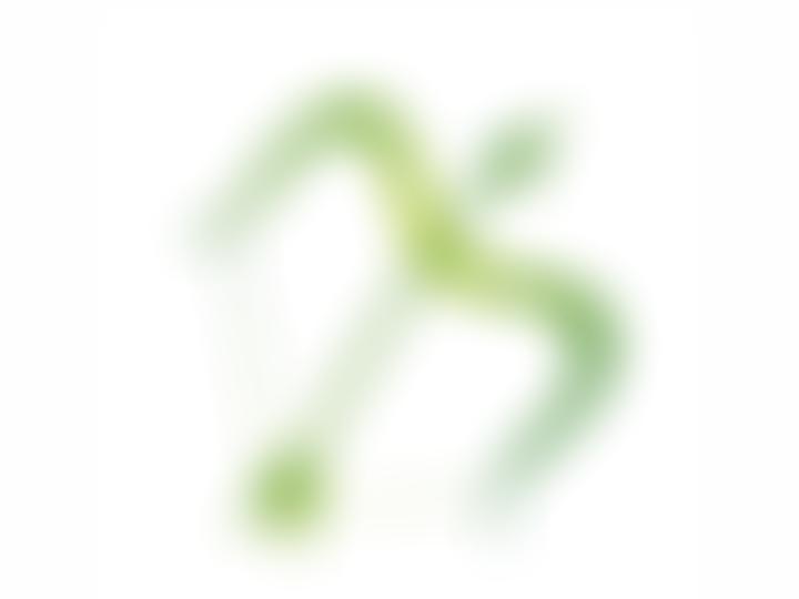 Mike-2